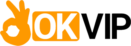 vnokvipbet.com Logo